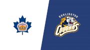 2025 Markham Royals vs Burlington Cougars