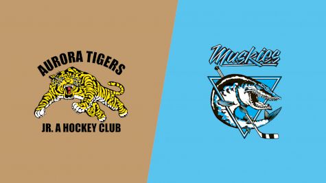 Replay: Home - 2026 Tigers vs Muskies | Feb 6 @ 6 PM