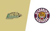 Replay: Home - 2026 Cougars vs Panthers | Feb 6 @ 7 PM