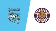 Replay: Home - 2026 Muskies vs Panthers | Feb 7 @ 6 PM