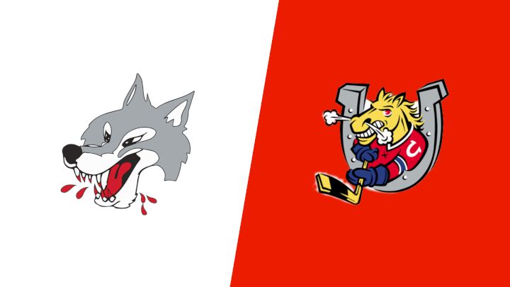 2025 Sudbury Wolves vs Barrie Colts