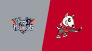 2025 Flint Firebirds vs Niagara IceDogs