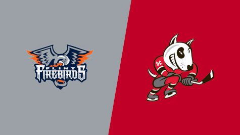 2025 Flint Firebirds vs Niagara IceDogs