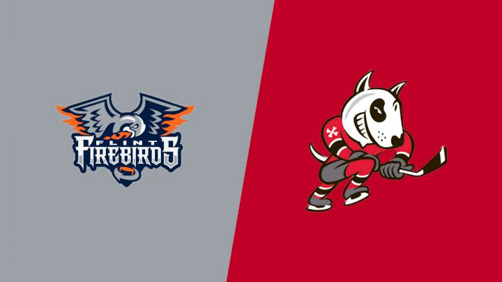 2025 Flint Firebirds vs Niagara IceDogs