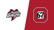 2025 Guelph Storm vs Ottawa 67's
