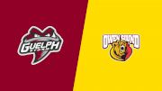 2026 Guelph Storm vs Owen Sound Attack