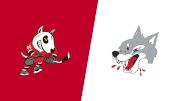 2026 Niagara IceDogs vs Sudbury Wolves