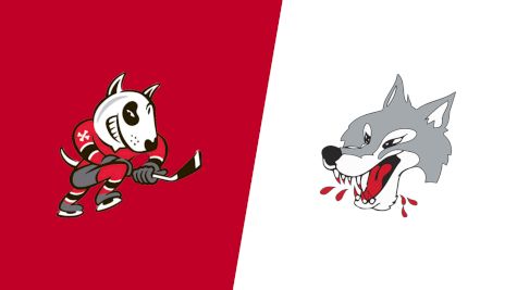 2026 Niagara IceDogs vs Sudbury Wolves