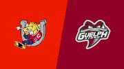2026 Barrie Colts vs Guelph Storm