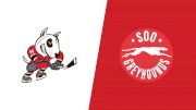 2026 Niagara IceDogs vs Soo Greyhounds