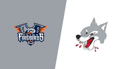 2026 Flint Firebirds vs Sudbury Wolves