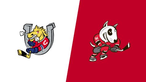 2026 Barrie Colts vs Niagara IceDogs