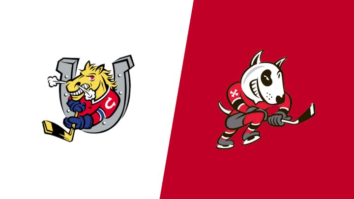 2026 Barrie Colts vs Niagara IceDogs