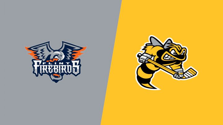 2026 Flint Firebirds vs Sarnia Sting