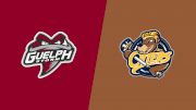 2026 Guelph Storm vs Erie Otters