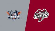 2026 Flint Firebirds vs Guelph Storm