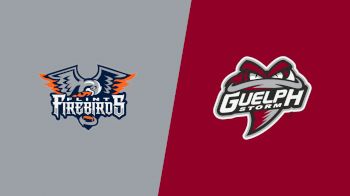 Replay: Home - 2026 Flint vs Guelph | Feb 13 @ 7 PM