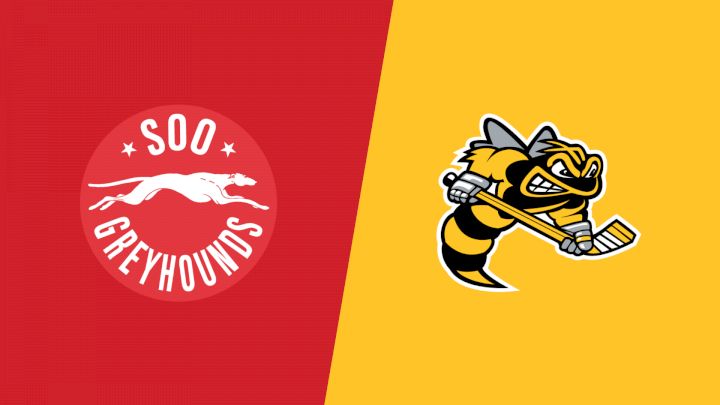 2026 Soo Greyhounds vs Sarnia Sting