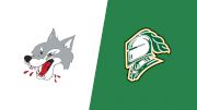 2026 Sudbury Wolves vs London Knights