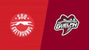 2026 Soo Greyhounds vs Guelph Storm