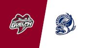 2025 Guelph Storm vs Brampton Steelheads