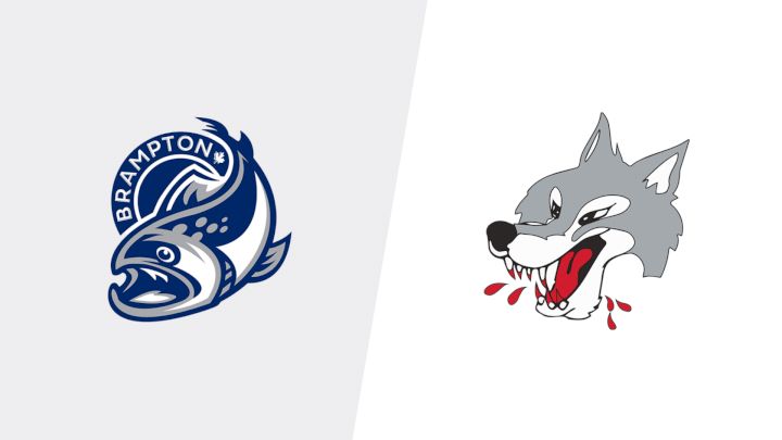 2025 Brampton Steelheads vs Sudbury Wolves