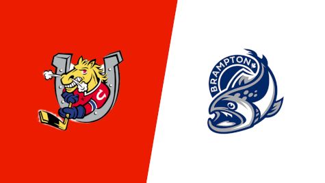 2025 Barrie Colts vs Brampton Steelheads
