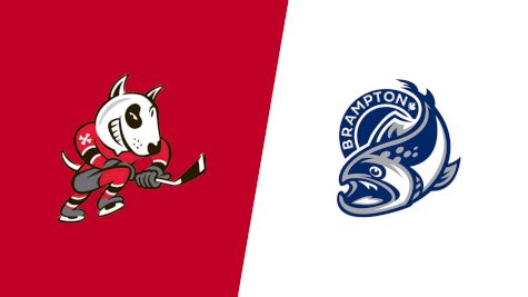 2025 Niagara IceDogs vs Brampton Steelheads