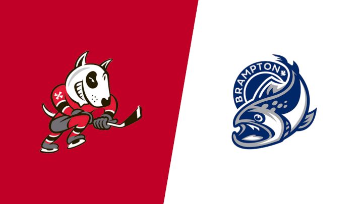 2025 Niagara IceDogs vs Brampton Steelheads