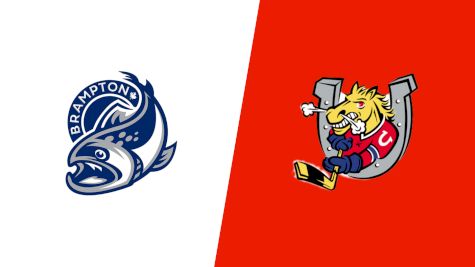 2026 Brampton Steelheads vs Barrie Colts