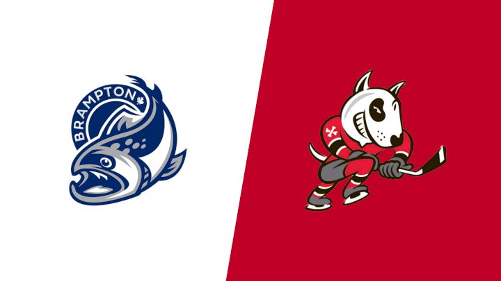 2026 Brampton Steelheads vs Niagara IceDogs