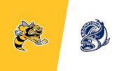 Replay: Home - 2026 Sarnia vs Brampton | Feb 7 @ 4 PM