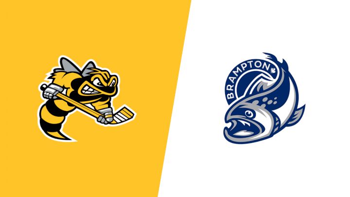 2026 Sarnia Sting vs Brampton Steelheads