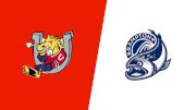 2026 Barrie Colts vs Brampton Steelheads