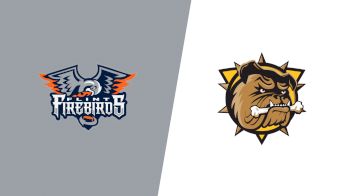 Replay: Home - 2025 Flint vs Brantford | Nov 14 @ 7 PM