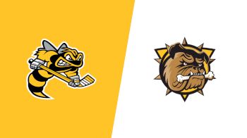 MUST SEE: Caleb Malhotra Scores, Chaos Ensues As Players Drop Gloves