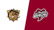 2026 Brantford Bulldogs vs Guelph Storm