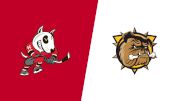 2026 Niagara IceDogs vs Brantford Bulldogs