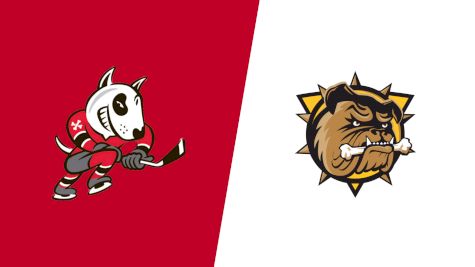 2026 Niagara IceDogs vs Brantford Bulldogs