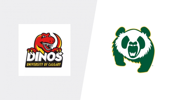 Team Matchup Image Service.