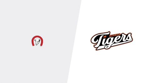 2026 Bisons U15 AAA vs South East Tigers U15