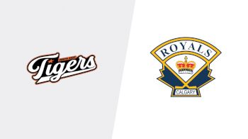Replay: Home - 2026 Tigers vs Royals | Feb 28 @ 3 PM