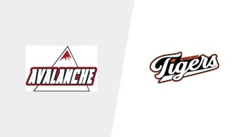 Replay: Home - 2025 Avalanche vs Tigers | Nov 8 @ 4 PM
