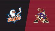 2026 San Diego Gulls vs Tucson Roadrunners
