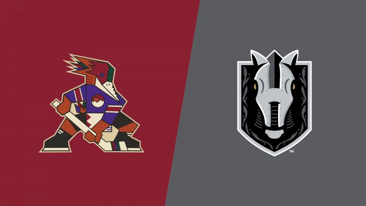 2026 Tucson Roadrunners vs Henderson Silver Knights