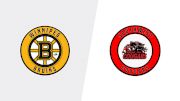 Replay: Home - 2026 Bruins U17 vs Cougars | Feb 8 @ 1 PM