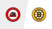 Replay: Home - 2026 Cougars vs Bruins U17 | Feb 1 @ 6 PM