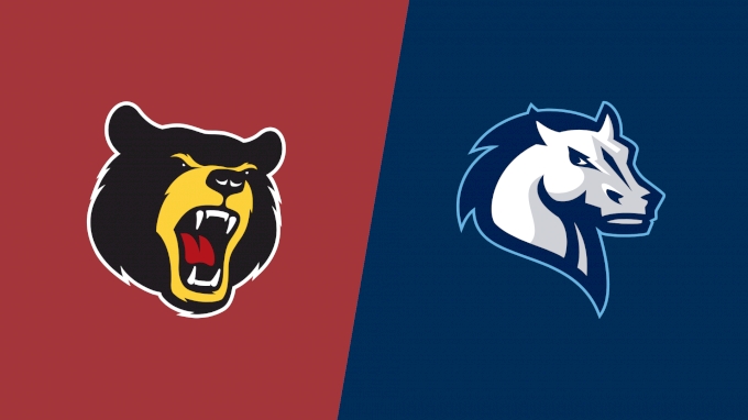 Team Matchup Image Service.