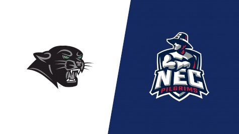 2025 Plymouth State vs New England College - Women's