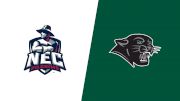 Replay: New England College vs Plymouth State | Nov 20 @ 5 PM